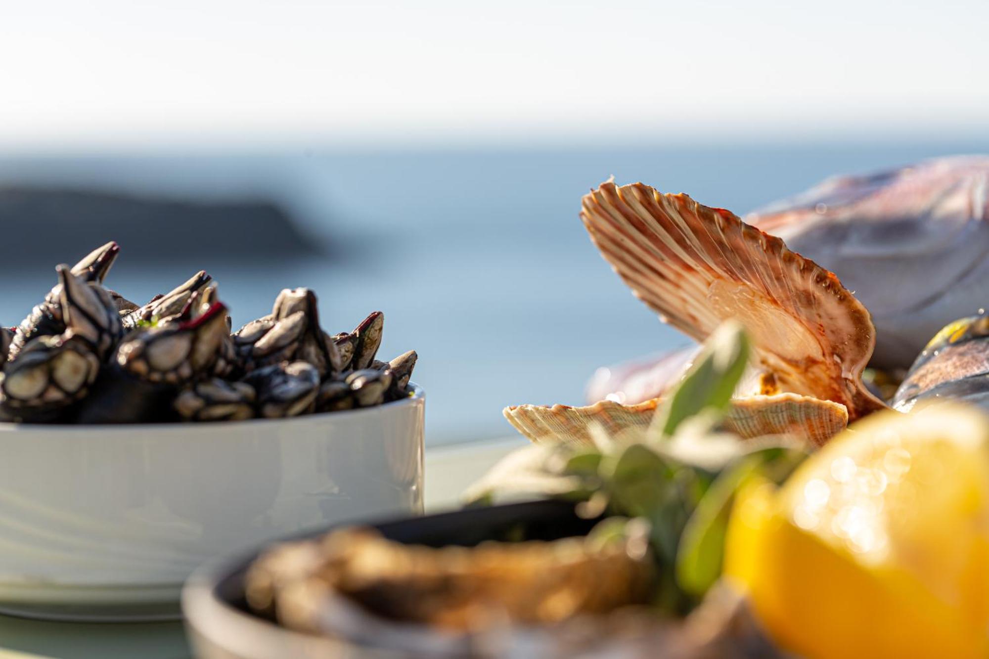 Le Grand Large, Belle-Ile-En-Mer Otel Bangor Dış mekan fotoğraf